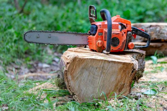 Rognage de souche après abattage d'arbre dans une copropriété - Beychac-et-Caillau - ARBRE & JARDIN ENVIRONNEMENT